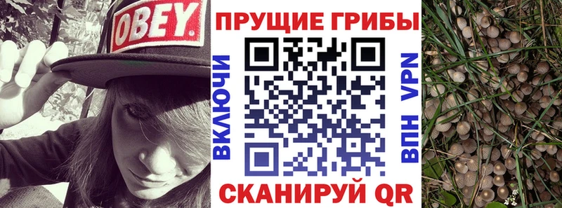 Псилоцибиновые грибы MAGIC MUSHROOMS Елабуга