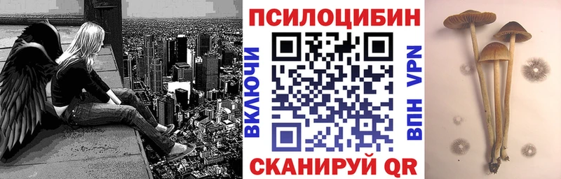 Псилоцибиновые грибы Psilocybine cubensis  закладки  Елабуга 